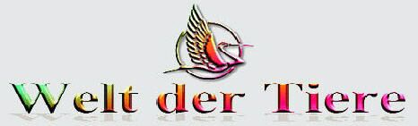 Welt der Tiere  -  World of Animals.